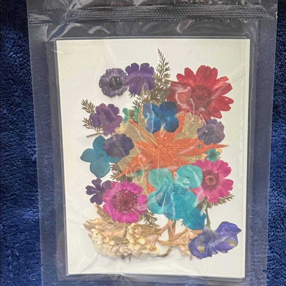 Pressed Floral Art with Colorful Blooms